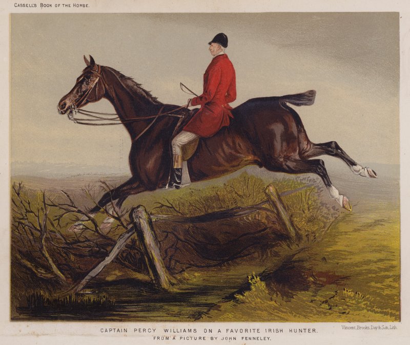 Percy Williams kapitány a kedvenc ír vadászon (színes litó) alkotó: Edwin Noble