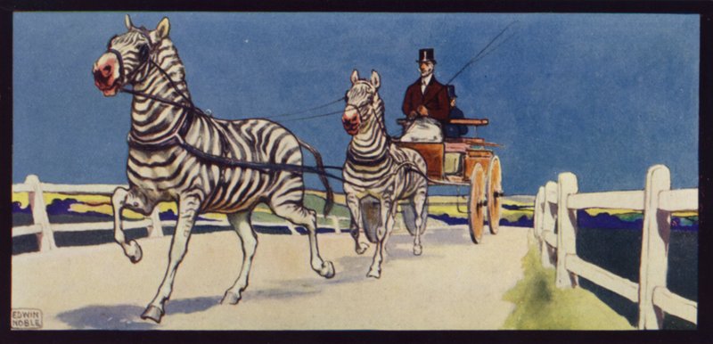Vezetési zebrák, tandem (színes litho) alkotó: Edwin Noble