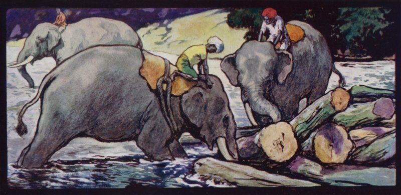 Elefántok, akik rönköket kezelnek a folyóban (színes litó) alkotó: Edwin Noble
