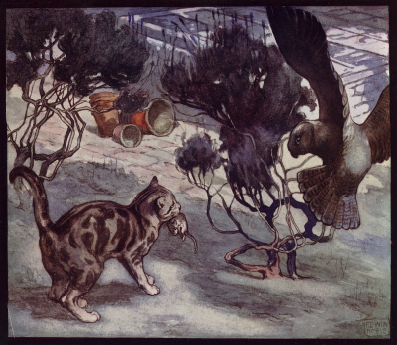 Rivális egérvadászok, macskák és bagoly (színes litho) alkotó: Edwin Noble