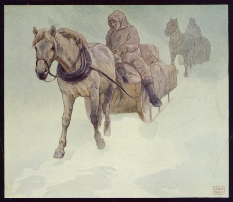 Szibériai pónik az Antarktiszon (színes litho) alkotó: Edwin Noble