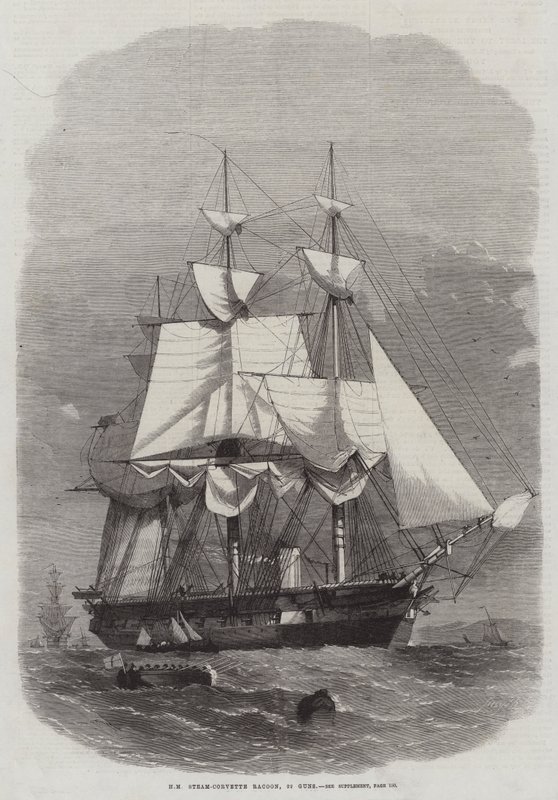 HM Steam-Corvette Racoon, 22 fegyver alkotó: Edwin Weedon