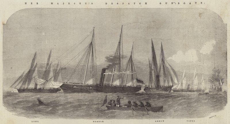 Őfelsége Despatch ágyúnaszádjai, Lynx, Beagle, Arrow és Viper alkotó: Edwin Weedon