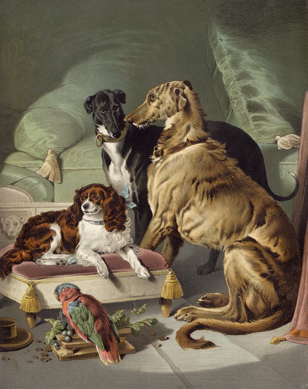 Dash, Hector, Nero, és Lory alkotó: Edwin after Landseer