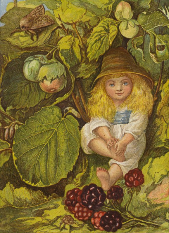 A dióbokor bokor (színes litó) alkotó: Eleanor Fortescue Brickdale