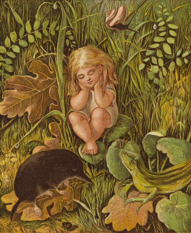 A két gonosz nyelv (színes litó) alkotó: Eleanor Fortescue Brickdale