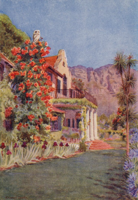 Bignonia grandiflora a Paradise-ban, Claremont (színes litográfia) alkotó: Elizabeth Drake