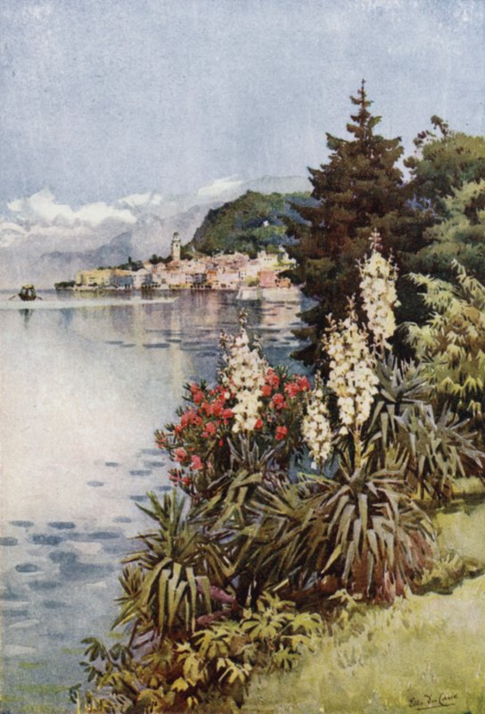 Egy csoport jukkák, Villa Melzi, Comói-tó (színes litho) alkotó: Ella Du Cane