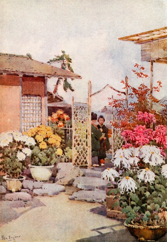 Krizantém, Kyoto (színes litho) alkotó: Ella Du Cane