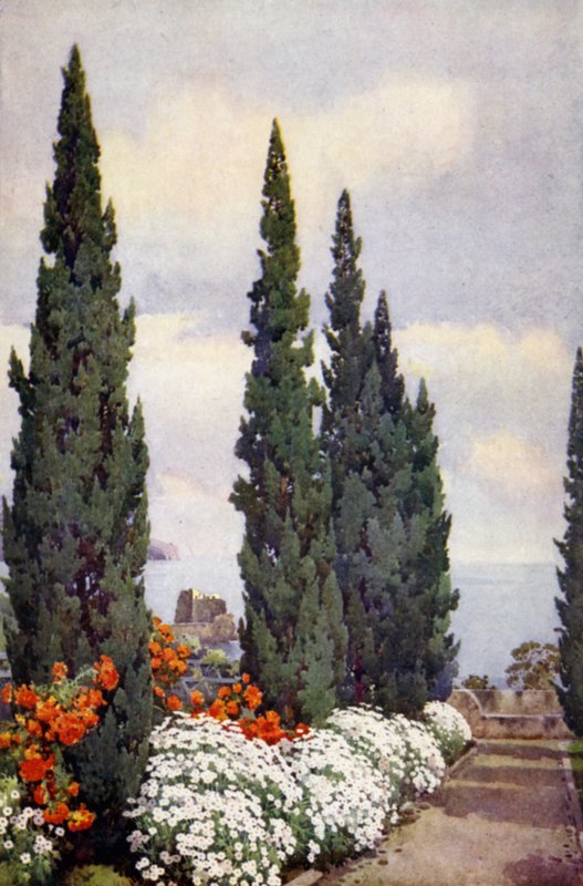 Cypress Avenue, Quinta Stanford (színes litó) alkotó: Ella Du Cane