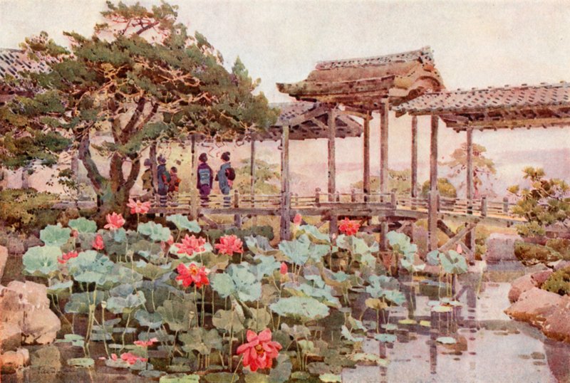 Lotus at Kodaiji (színes litó) alkotó: Ella Du Cane