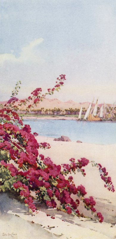 Hegyek Assuantól északra az Elephantine Island kertjétől (színes litho) alkotó: Ella Du Cane