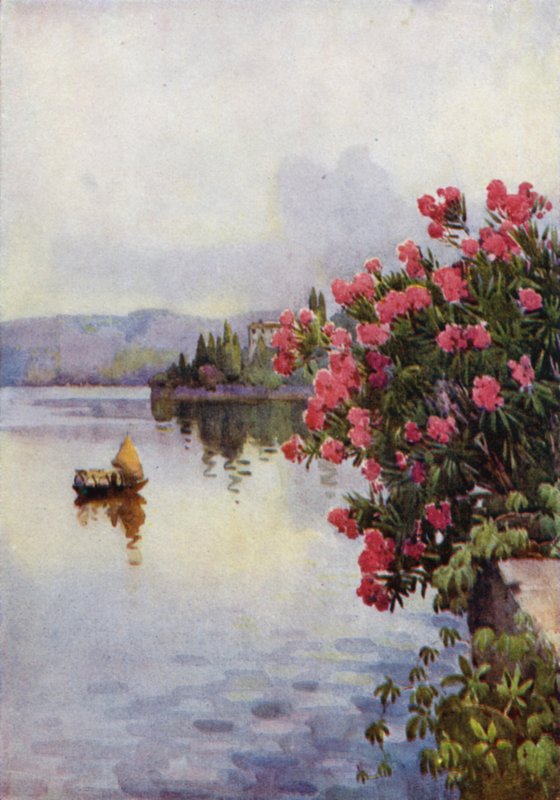 Oleander (színes litó) alkotó: Ella Du Cane