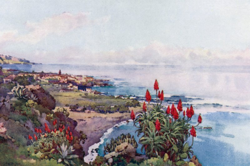 Puerto Orotava (színes tagok) alkotó: Ella Du Cane