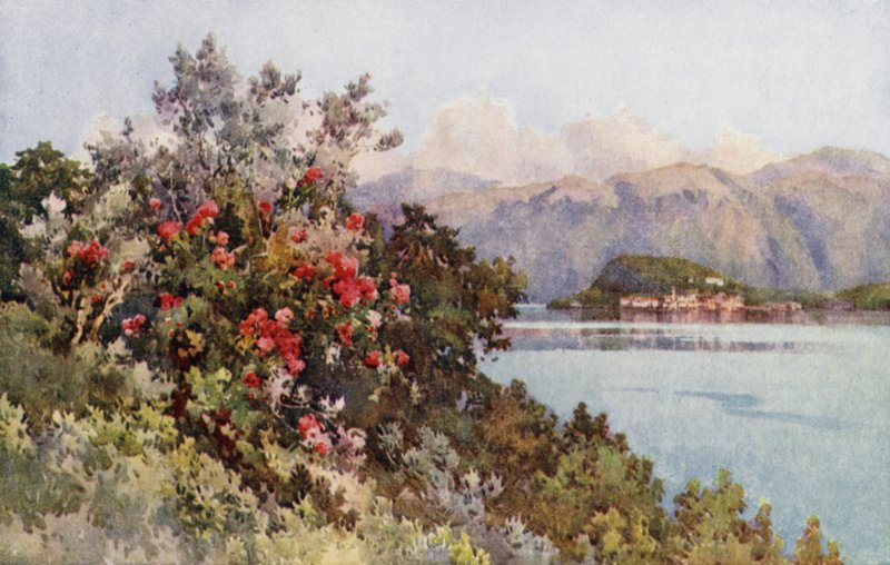 Roses, Villa Carlotta, Comói-tó (színes litho) alkotó: Ella Du Cane