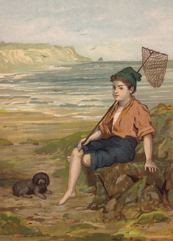Fiú halászhálóval a tengerparton (chromolitho) alkotó: Emily Jane Harding Andrews
