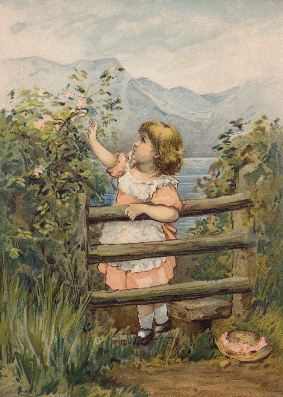 Lány felnyúl, hogy virágot szedjen (chromolitho) alkotó: Emily Jane Harding Andrews