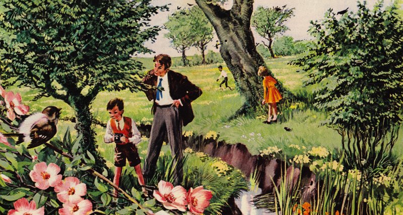 Madarak és fészkeik alkotó: English School