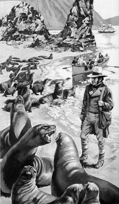 Charles Darwin a Galápagos-szigeteken alkotó: English School
