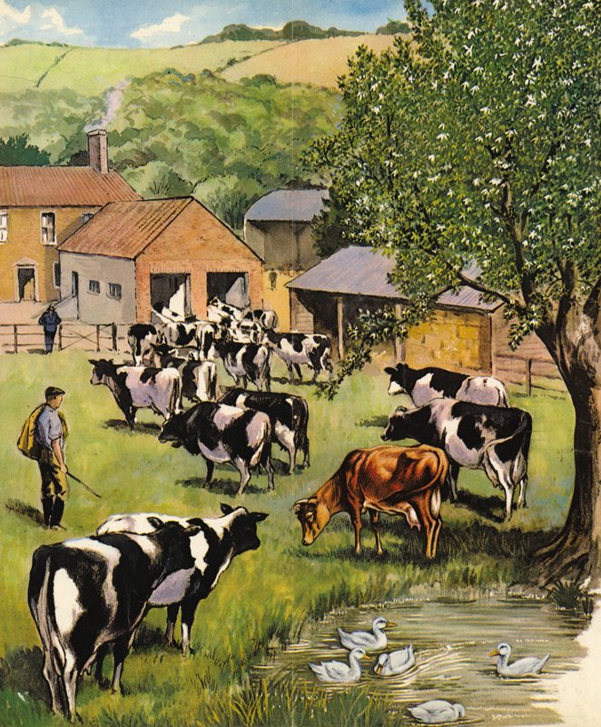Tejgazdaság, Anglia, 1960-as évek alkotó: English School