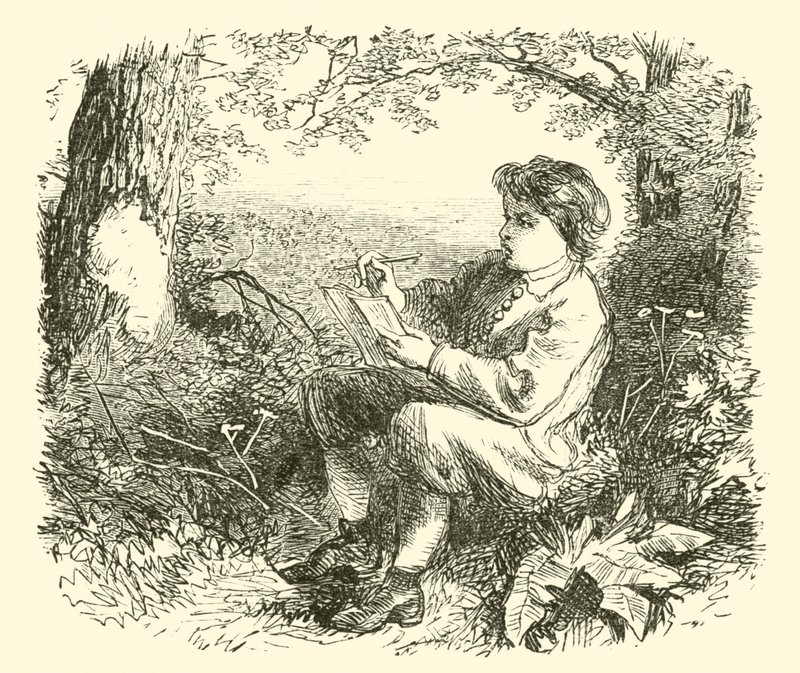 David Wilkie, a fiú a természetből tanul alkotó: English School