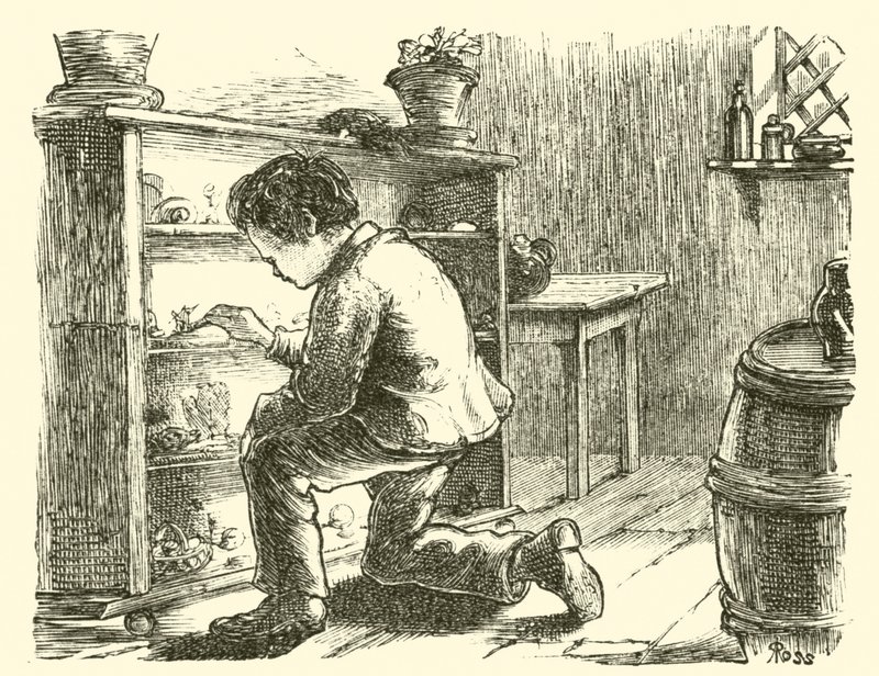 Edward Forbes, miniatűr múzeumát rendezi be alkotó: English School