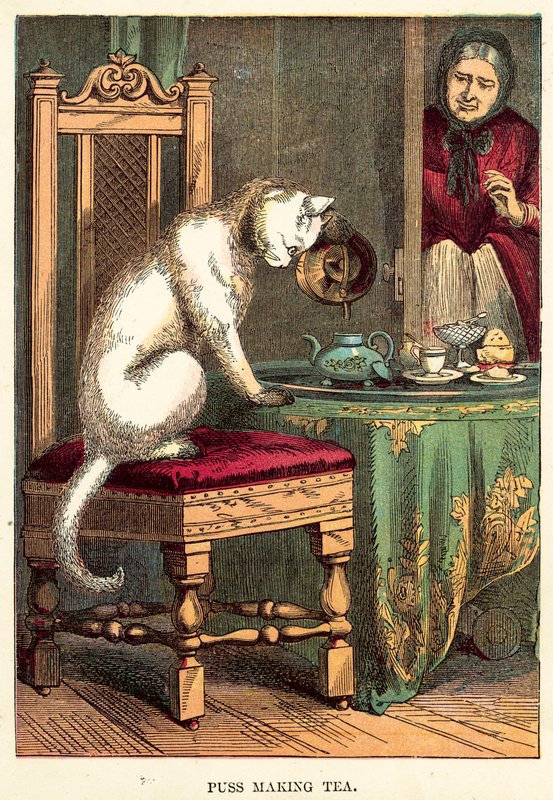 Puss tea főzés alkotó: English School