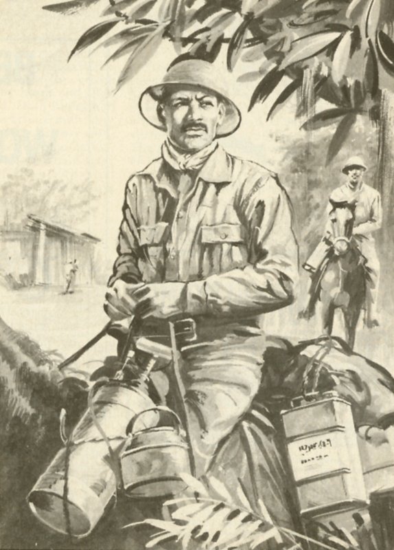 Ronald Ross alkotó: English School