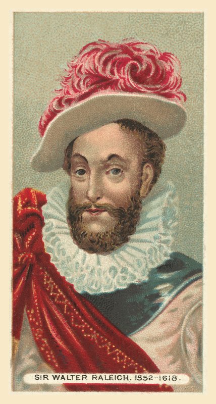 Sir Walter Raleigh, 1552-1618 alkotó: English School