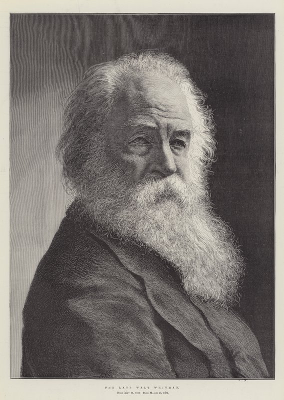 A néhai Walt Whitman alkotó: English School