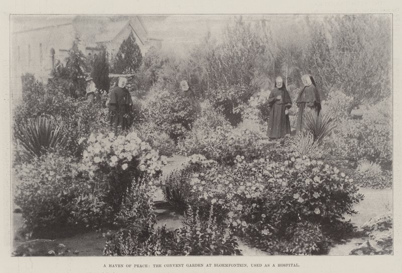 A béke kikötője, a bloemfonteini kolostorkert, amelyet kórházként használnak alkotó: English Photographer