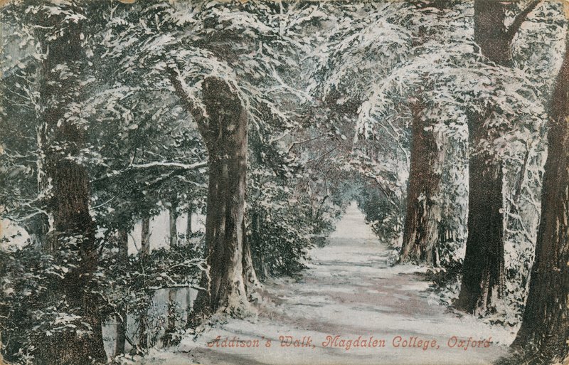 Addisons Walk, Magdalen College, Oxford. 1913-ban feladott képeslap. alkotó: English Photographer