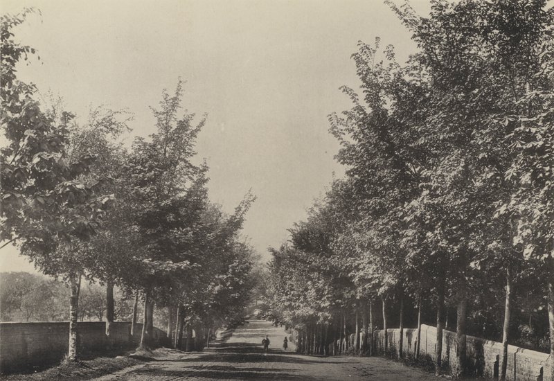 Aldeburgh, Westfields Avenue (f/w fotó) alkotó: English Photographer