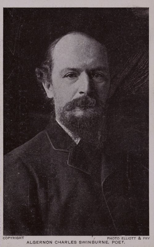 Algernon Charles Swinburne (1837-1909), angol költő és drámaíró alkotó: English Photographer