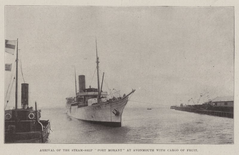 A Port Morant gőzhajó megérkezése Avonmouthba, gyümölcsszállítmányokkal alkotó: English Photographer