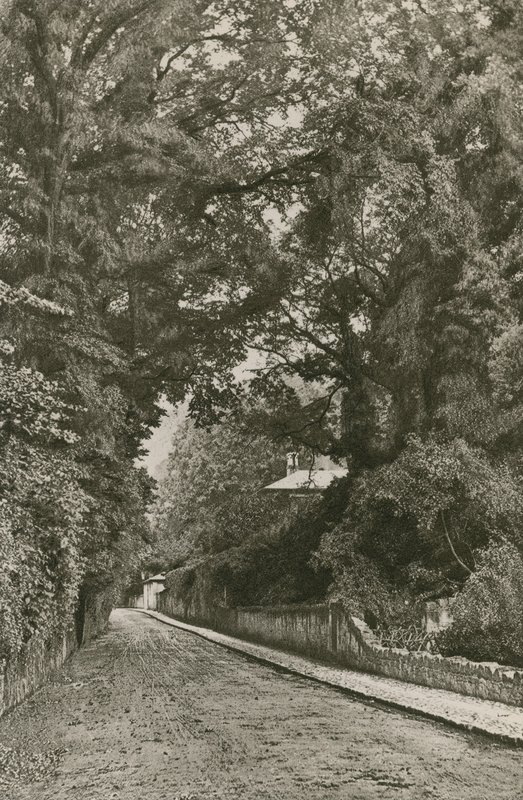Bonchurch Road, Wight-sziget alkotó: English Photographer