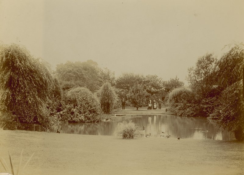 Brockwell Park, London alkotó: English Photographer