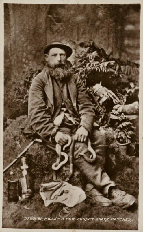 Brusher Mills, egy új erdei kígyófogó alkotó: English Photographer