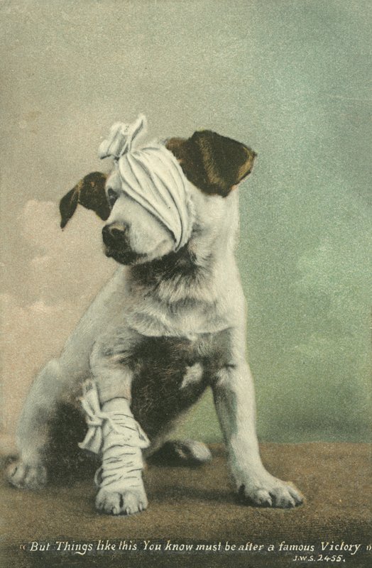 De az ilyen dolgokat tudod, hogy egy híres győzelem után kell lennie (színes fotó) alkotó: English Photographer