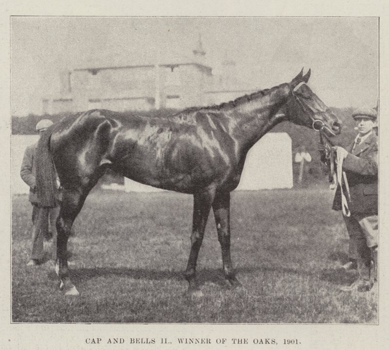 Cap and Bells II, a tölgyek győztese, 1901 alkotó: English Photographer