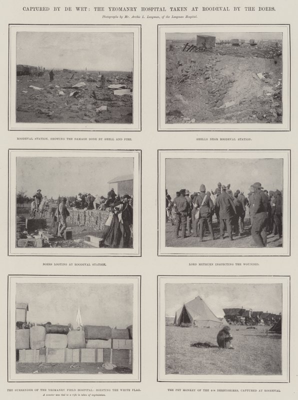 De Wet elfoglalta a búrok által Roodevalban lévő Yeomanry Kórházat alkotó: English Photographer