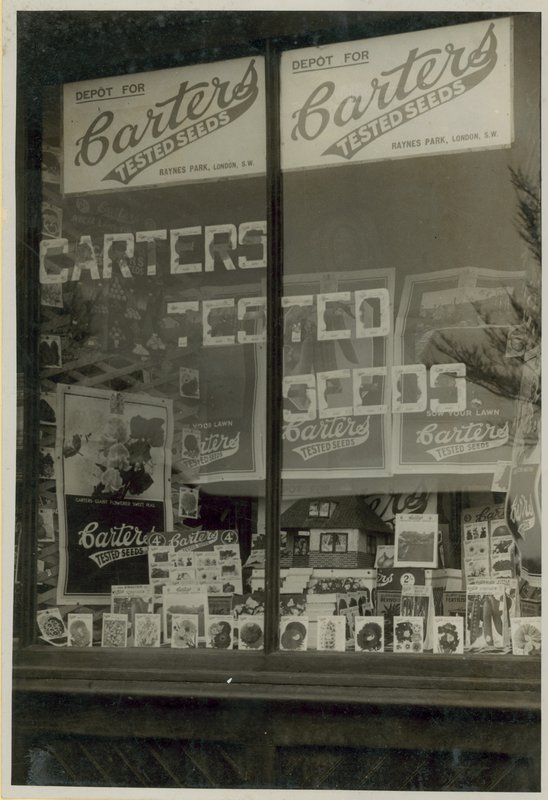 Carters által tesztelt vetőmag kijelző alkotó: English Photographer