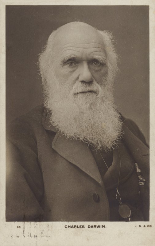 Charles Darwin (1809-1882), angol természettudós alkotó: English Photographer