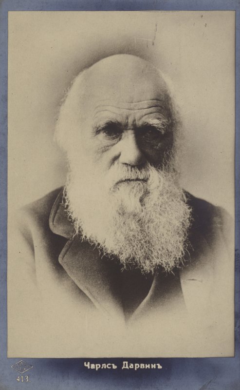 Charles Darwin (1809-1882), angol természettudós alkotó: English Photographer