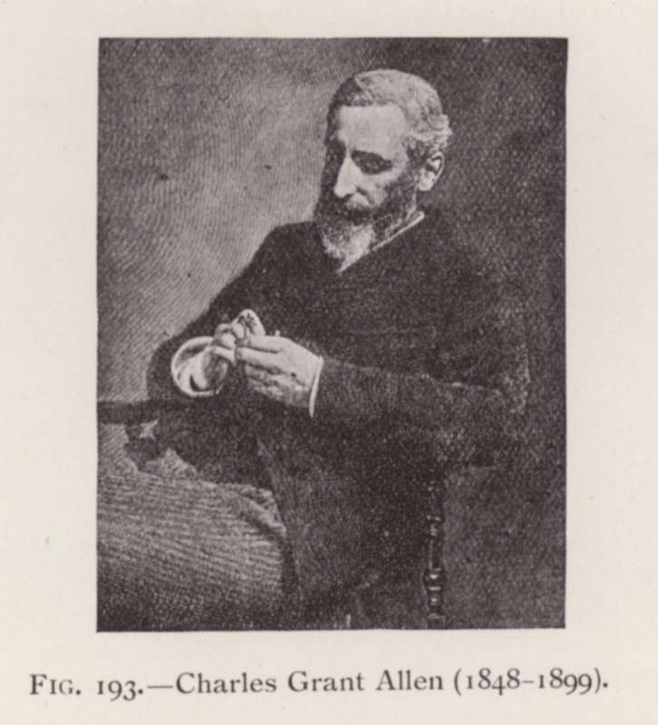 Charles Grant Allen (1848-1899), portré (f/w fotó) alkotó: English Photographer