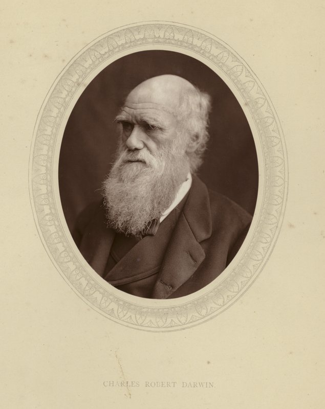 Charles Robert Darwin alkotó: English Photographer