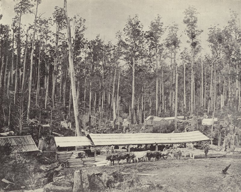 Childers Sawmill, Gippsland alkotó: English Photographer