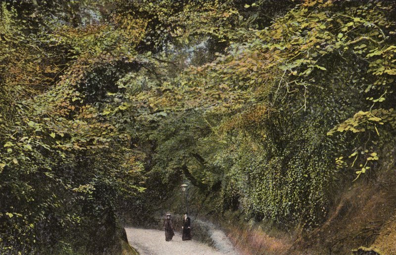 Chine Hollow, Shanklin alkotó: English Photographer