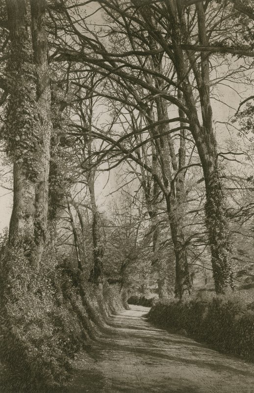 Cockington Lane, Devonshire, Torquay közelében alkotó: English Photographer