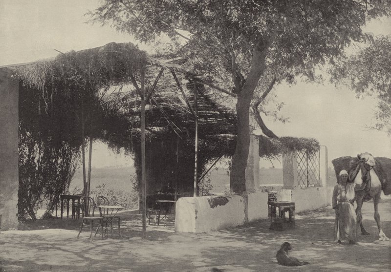 Kávéház a Matariyeh-i Szűz kertjében, ahol József élt alkotó: English Photographer